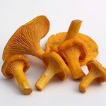 Fresh Chanterelle Mushrooms (5lbs)