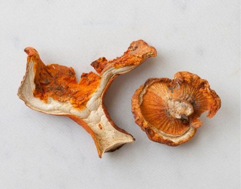 DRIED LOBSTER MUSHROOMS