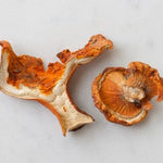 DRIED LOBSTER MUSHROOMS