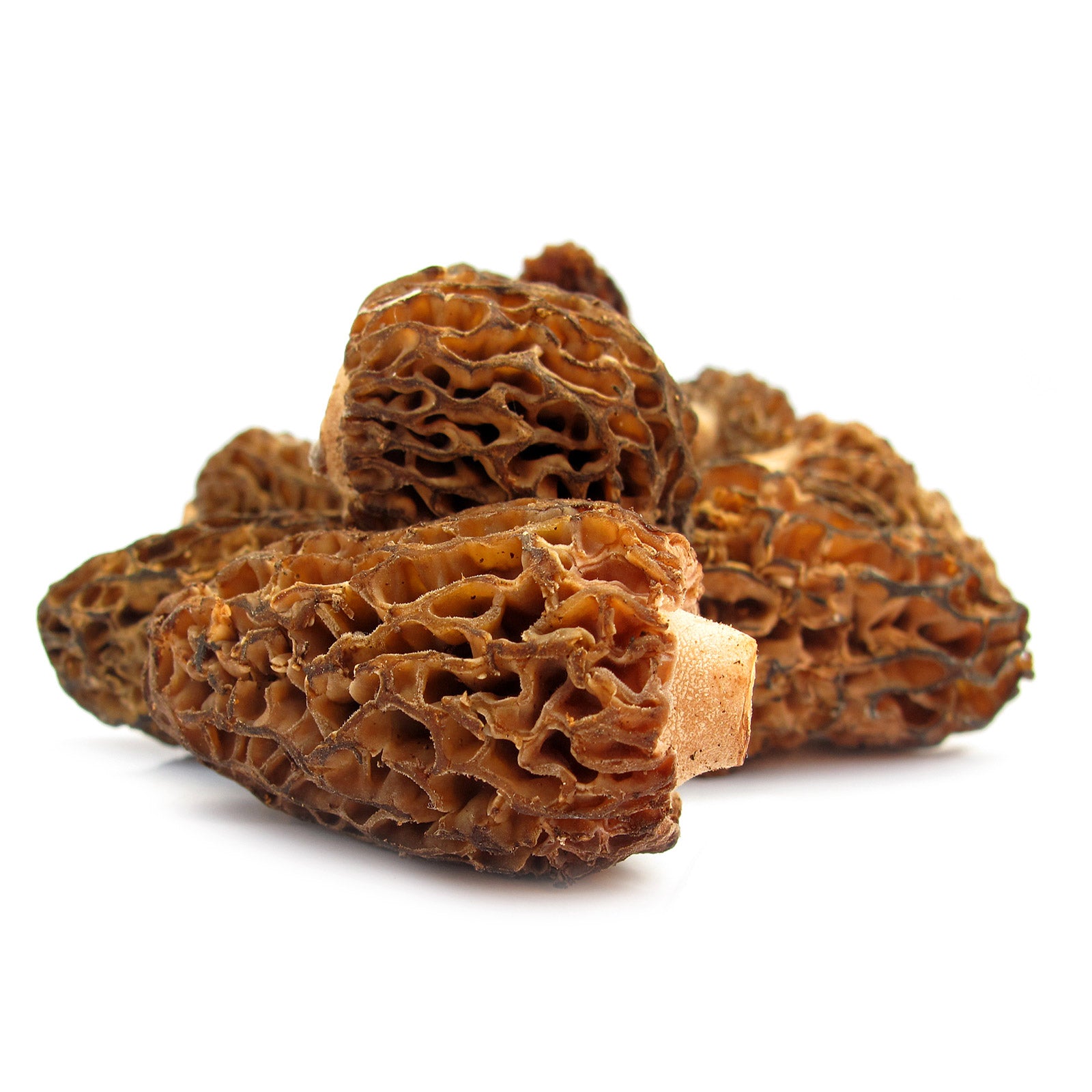 Shop Fresh Mushrooms