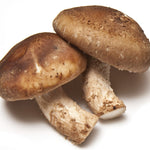Fresh Frozen Organic Shiitake