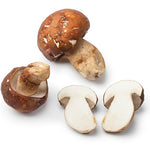 Fresh Frozen Porcini Mushrooms