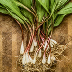 Fresh Frozen Wild Leeks