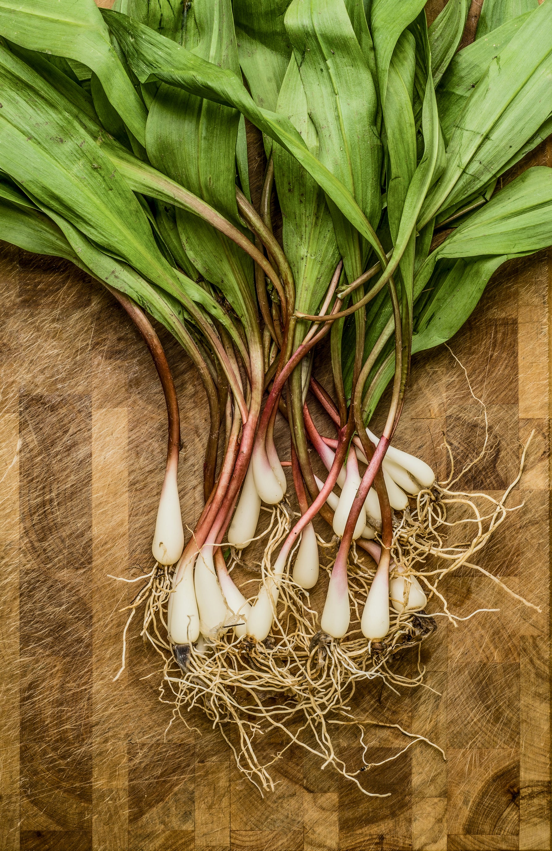 Fresh Frozen Wild Leeks