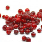 Wild Lingonberries
