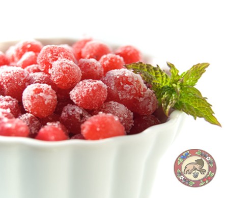 Fresh Frozen Wild Red Huckleberries