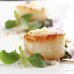 Fresh Frozen Wild Alaskan weathervane scallops