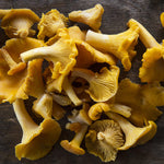 Wild Mushrooms